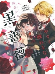 漫画《黑色四叶草》海报